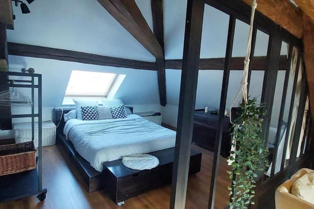 Apartmán *New*Les Amandines Le Loft* Wifi Allevard Exteriér fotografie